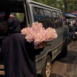 美女扒开腿㊙️让人桶爽
