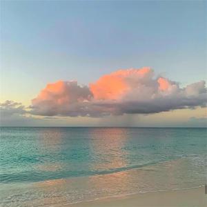 美女扒开腿㊙️让人桶爽
